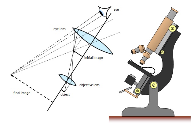len microscope
